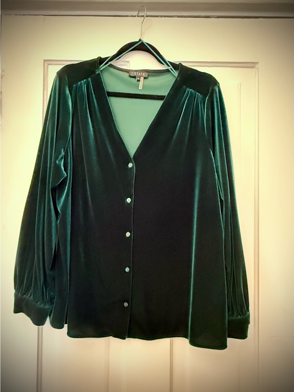 1STATE Women's Emerald Green Velvet Button-Front Top
